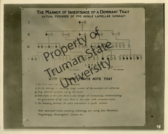 Default representative image