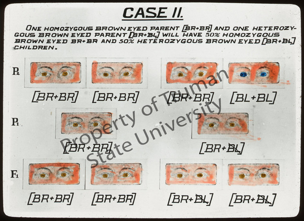 Default representative image