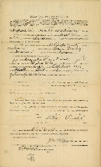 Diehl-Peter.pdf