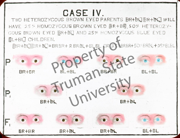 Default representative image