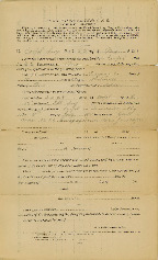 Lutes-Allen.pdf