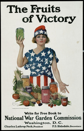 Default representative image